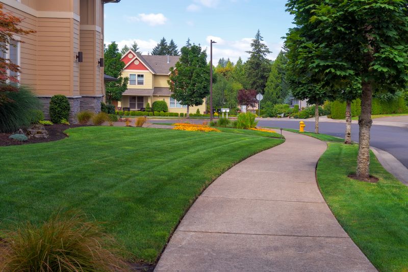 Sidewalk Enlargement in Fort Collins, CO